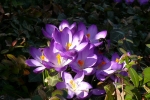 P1160094